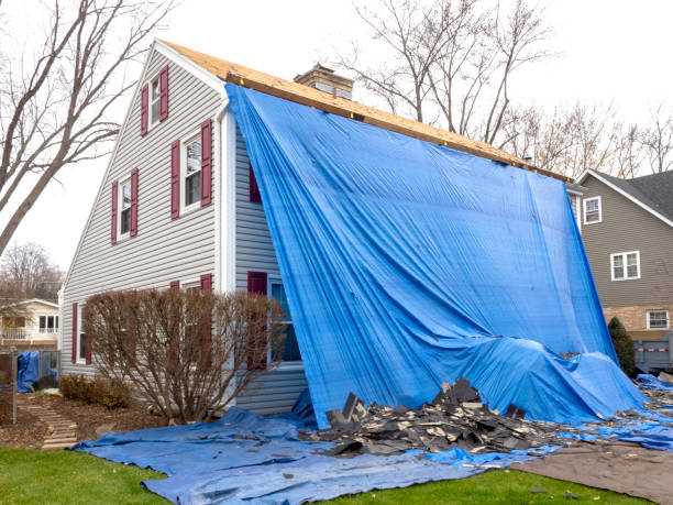 Best Wood Siding Installation  in Sibley, IA