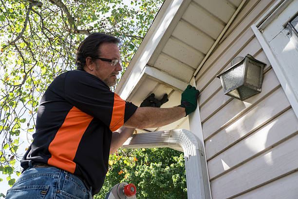 Best Brick Veneer Siding  in Sibley, IA